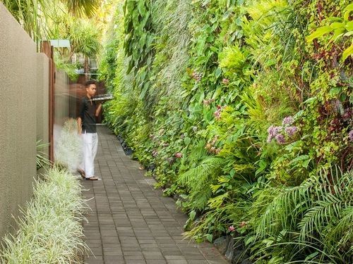 Ivilla By Ekosistem Seminyak Zewnętrze zdjęcie